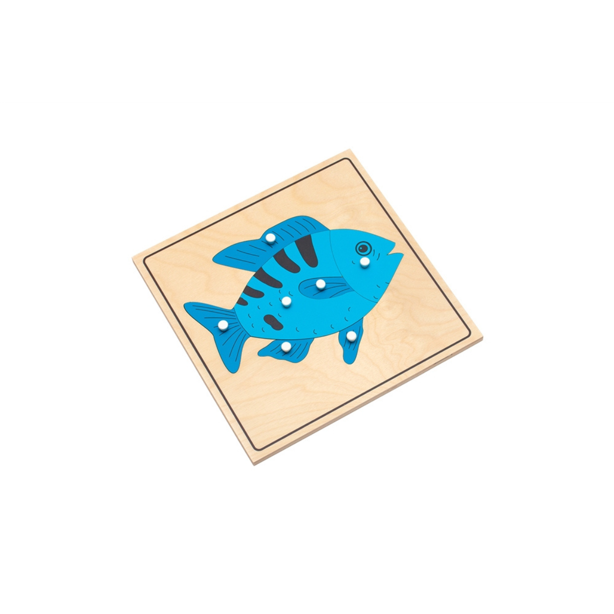 Parts of a Fish Puzzle (Premium Quality)