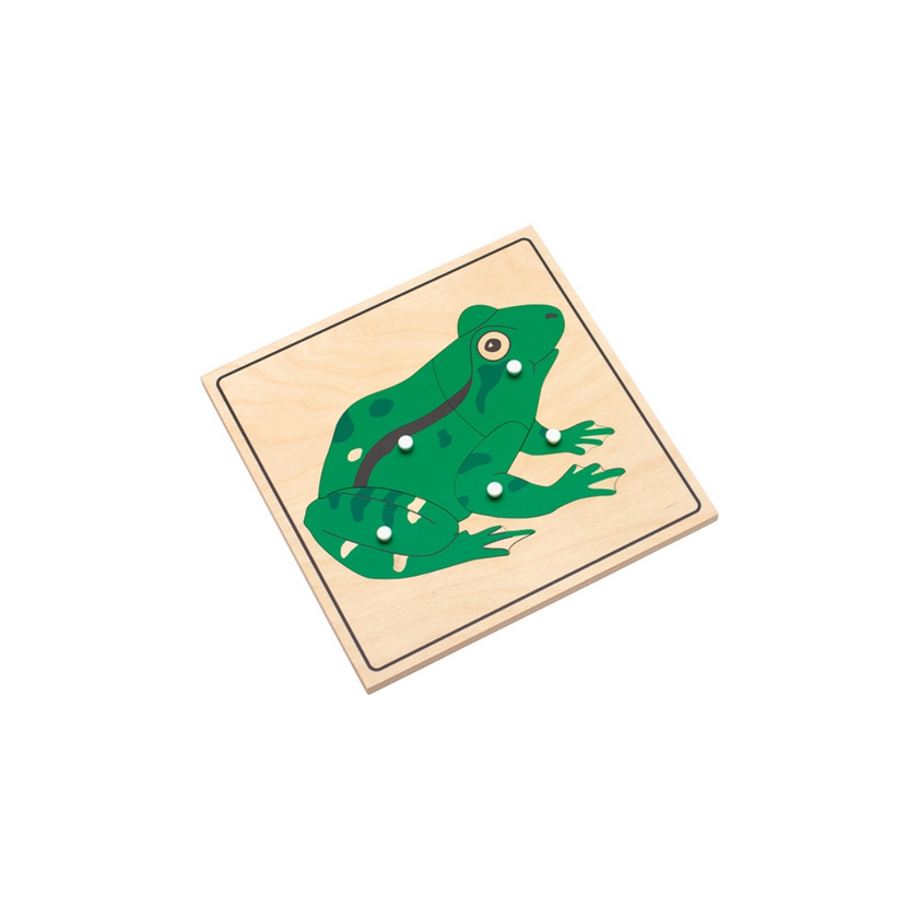 Parts of a Frog Puzzle (Premium Quality)