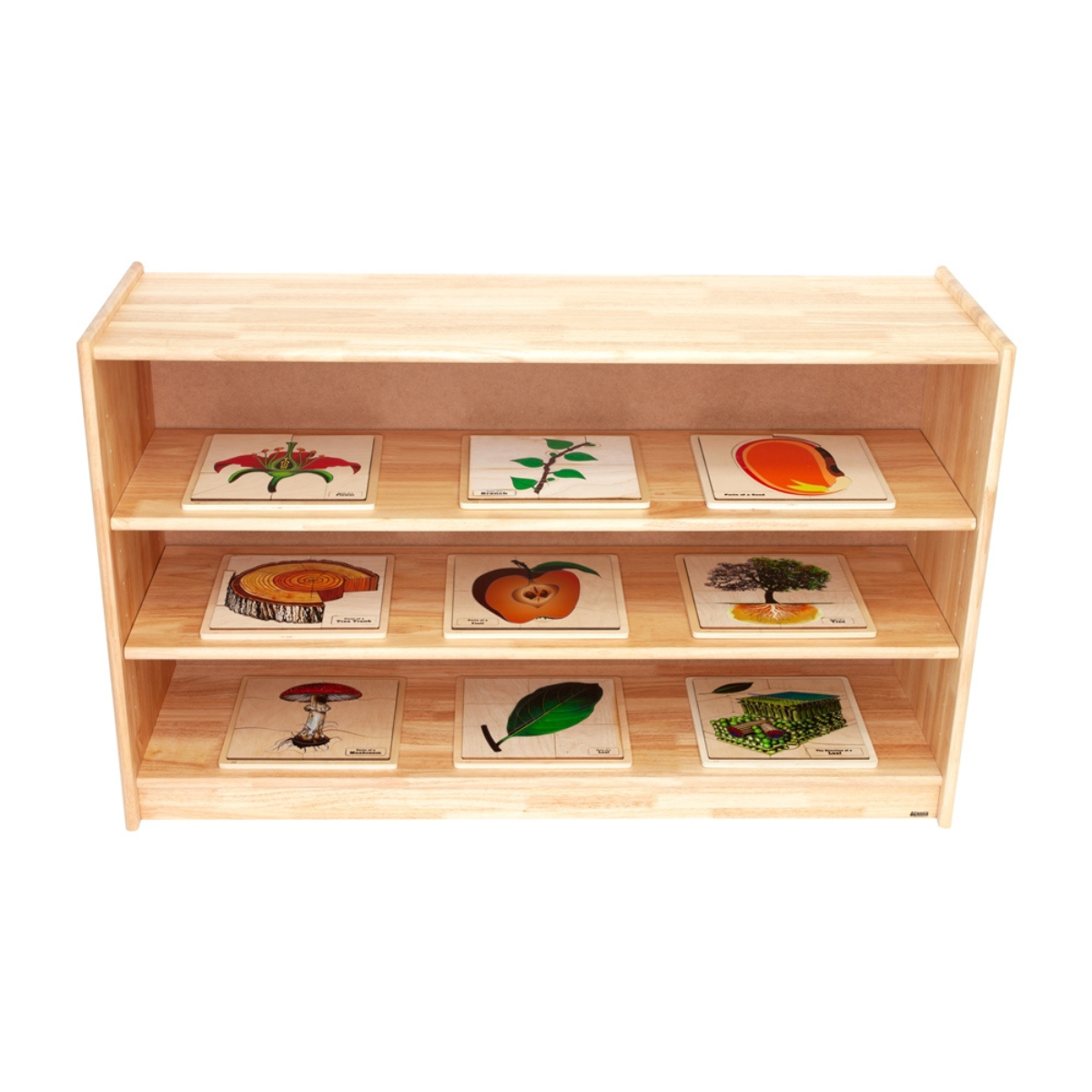 Medium Rubberwood Adjustable Shelf with Back