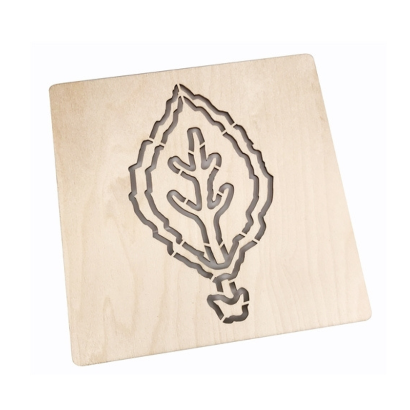Parts of a Leaf Puzzle Template