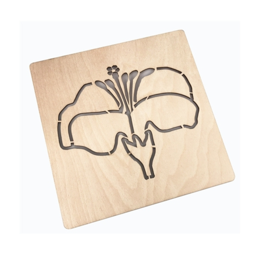 Parts of a Flower Puzzle Template