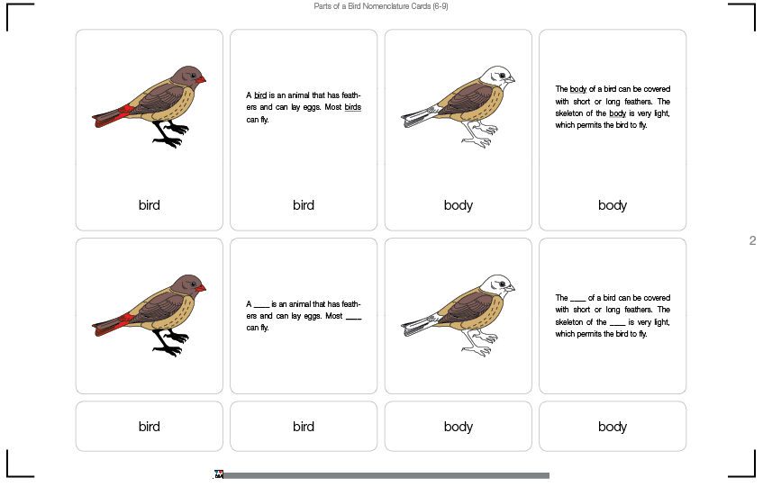 Parts of a Bird Nomenclature Cards (6-9) (Printed)