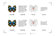 Parts of a Butterfly Nomenclature Cards (6-9) (Printed)