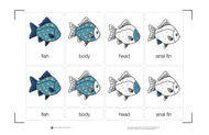 Parts of a Fish Nomenclature Cards (3-6) (Printed)