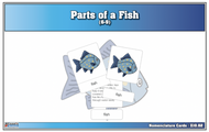 Parts of a Fish Nomenclature Cards (6-9) (Printed)