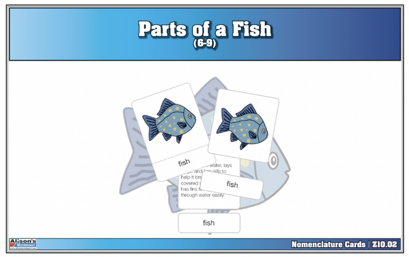 Parts of a Fish Nomenclature Cards (6-9) (Printed)