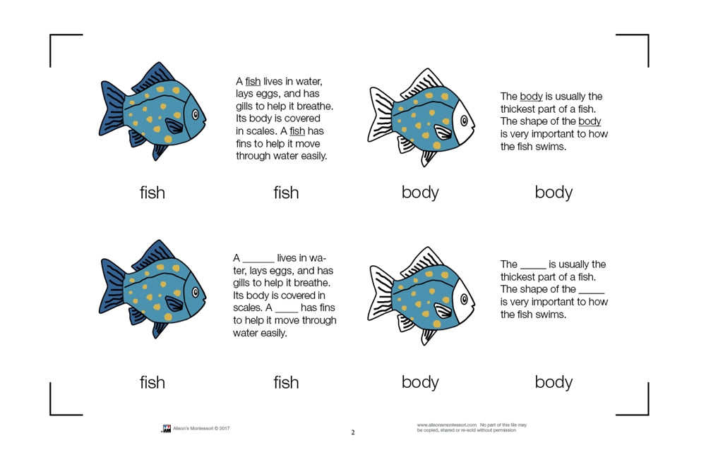 Parts of a Fish Nomenclature Cards (6-9) (Printed)