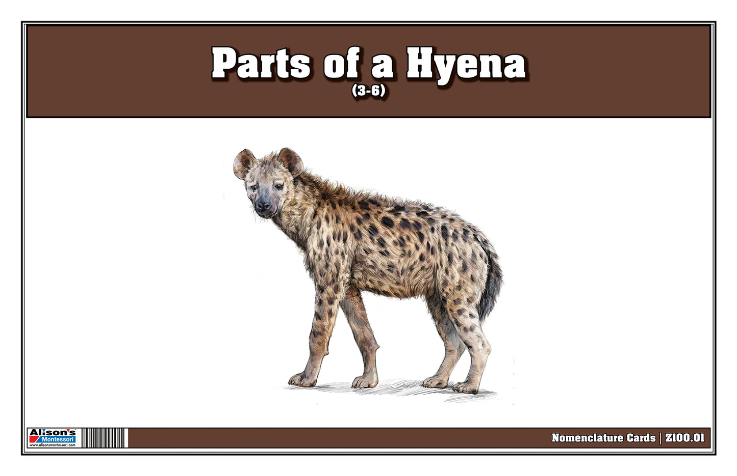 Parts of a Hyena Puzzle with Nomenclature Cards (3-6) (Printed)