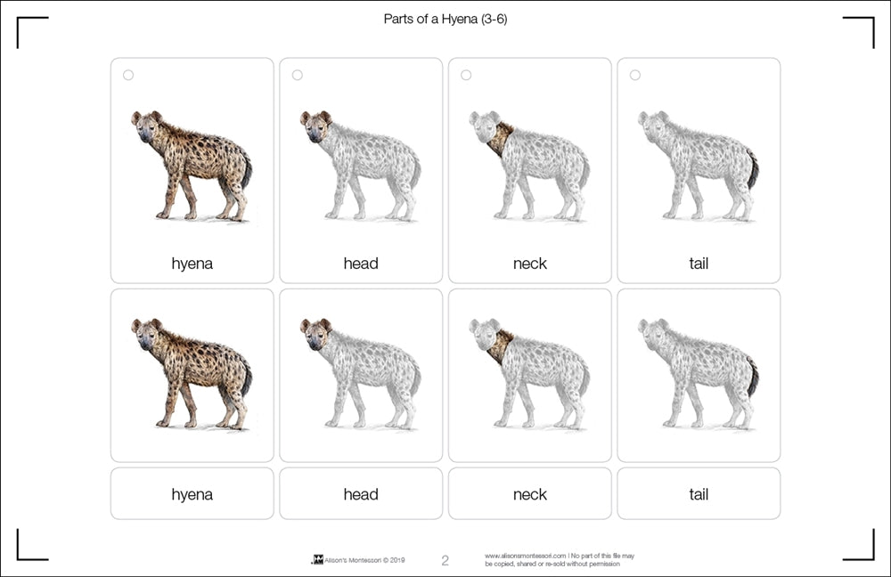 Parts of a Hyena Puzzle with Nomenclature Cards (3-6) (Printed)