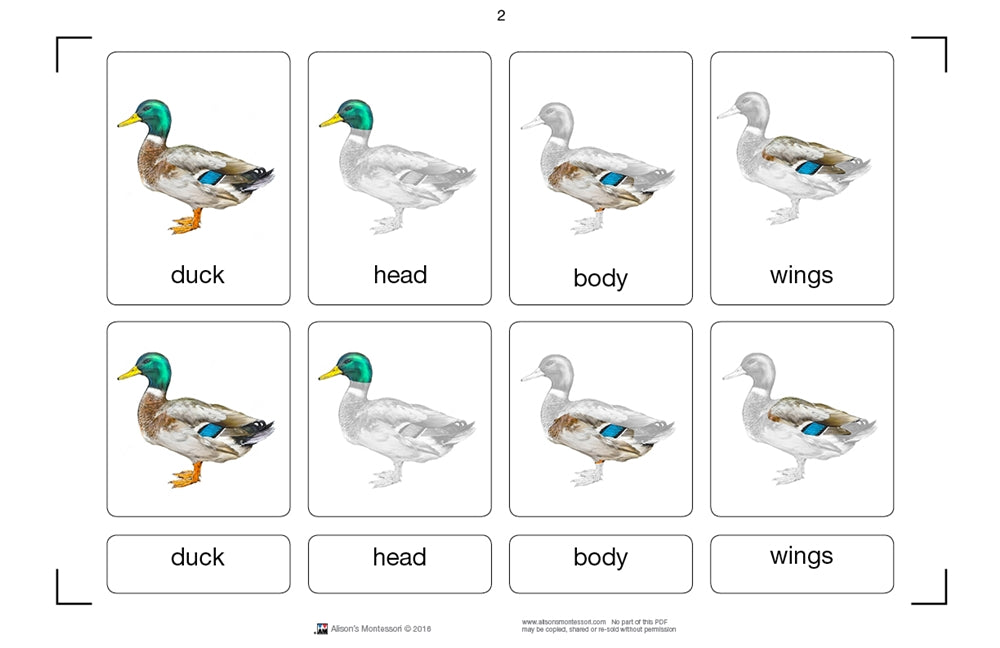 Parts of a Duck (Printed)