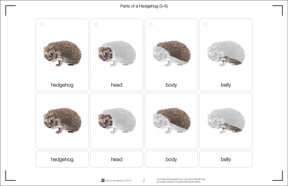 Parts of a Hedgehog Three Part Cards (Printed)