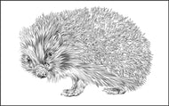 Parts of a Hedgehog Three Part Cards (Printed)