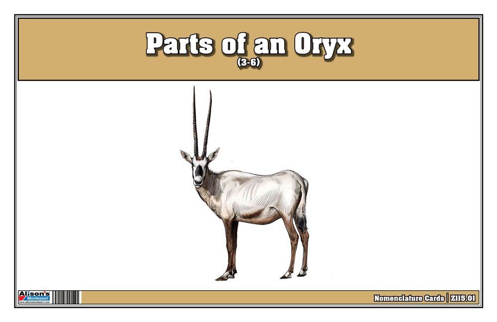 Parts of an Oryx (Printed)