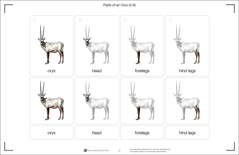 Parts of an Oryx (Printed)