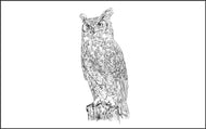 Parts of a Great Horned Owl Three Part Cards (Printed)