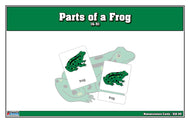 Parts of a Frog Nomenclature Cards (6-9) (Printed)