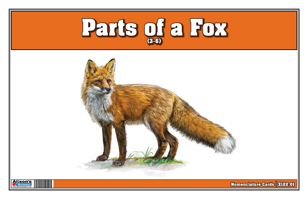 Parts of a Fox Three Part Cards (Printed)