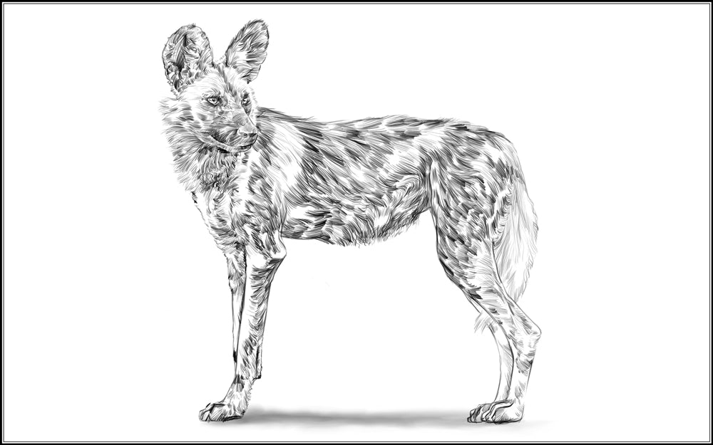 Parts of a Wild Dog Three Part Cards (Printed)