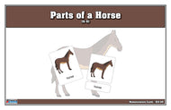Parts of a Horse Nomenclature Cards (6-9) (Printed)