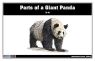 Parts of a Giant Panda Three Part Cards (Printed)