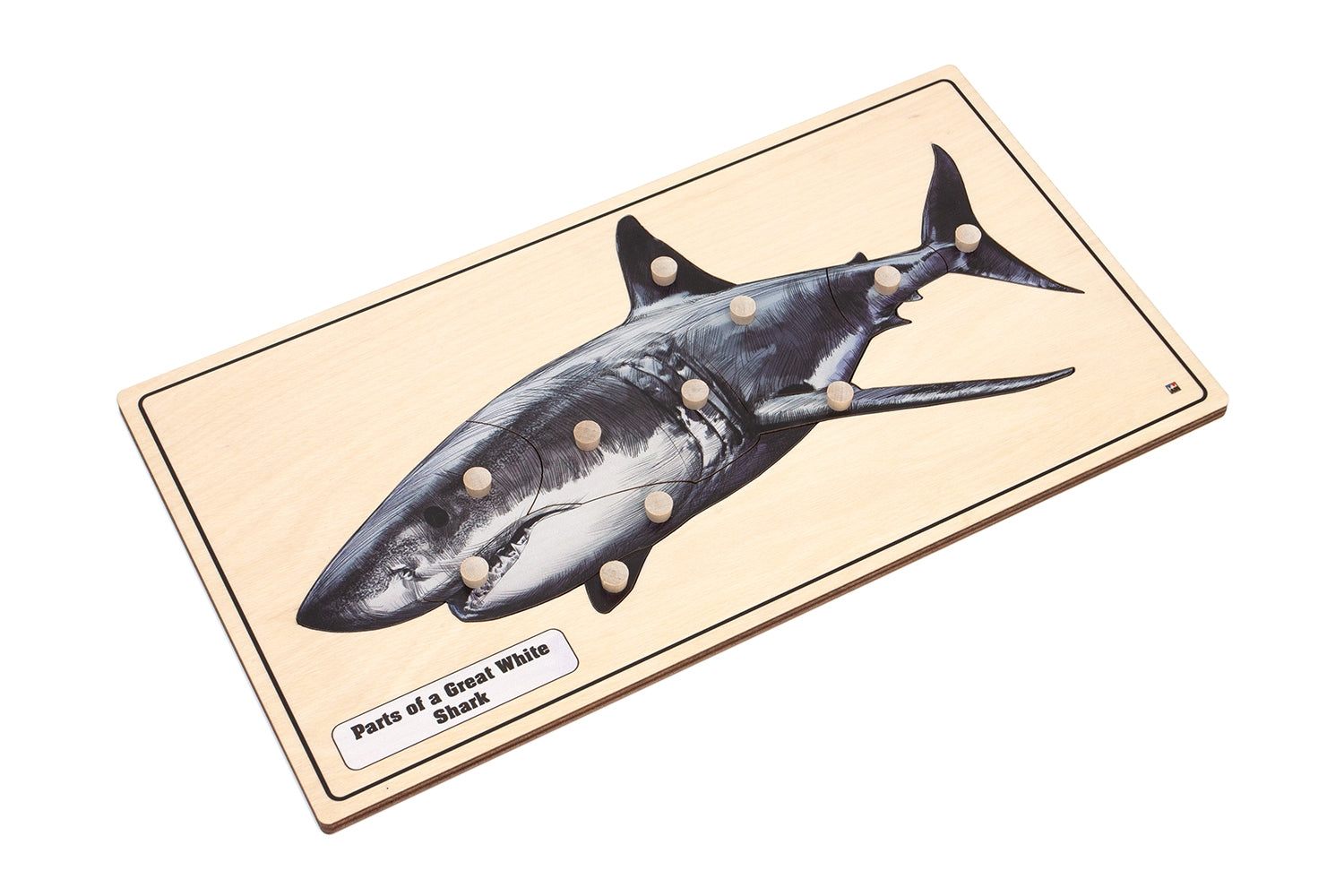 A Great White Shark Puzzle