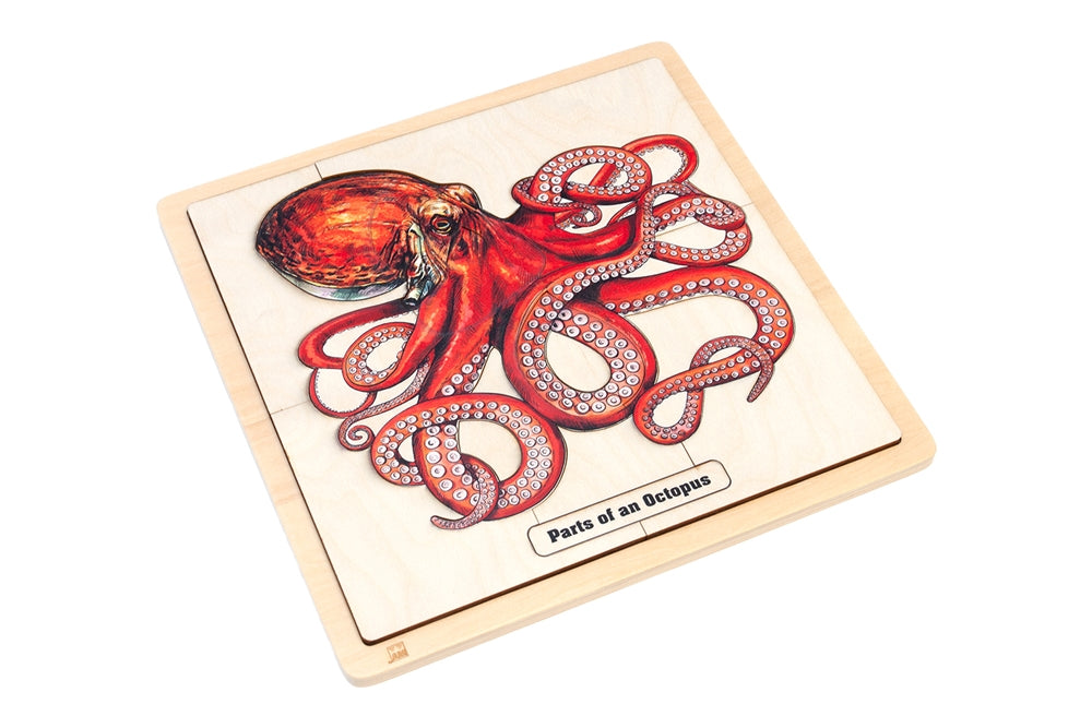 Parts of an Octopus Puzzle with Nomenclature Cards (3-6) (Printed)