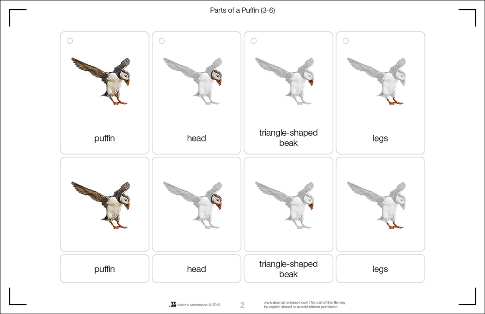 Parts of a Puffin Three Part Cards (3-6)