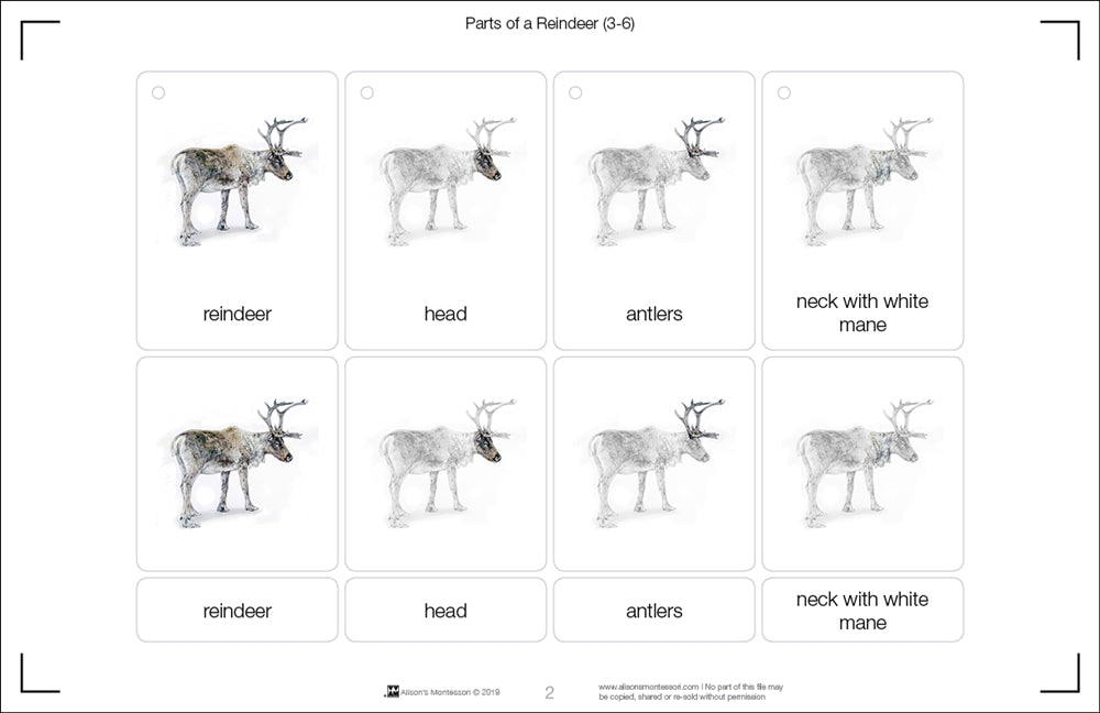Parts of a Reindeer Three Part Cards (3-6)