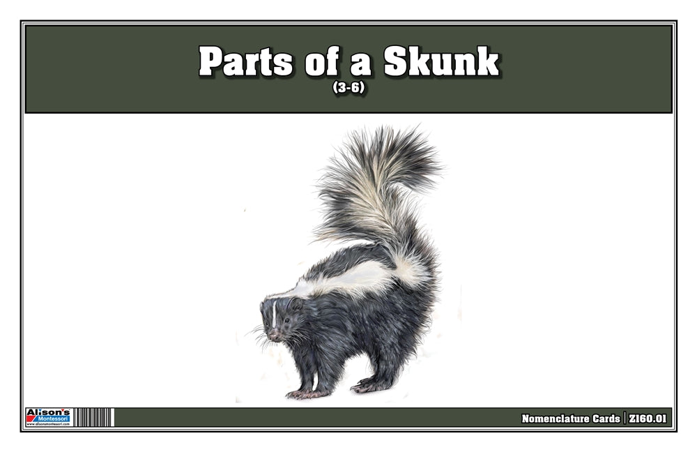 Parts of a Skunk Three Part Cards (3-6)