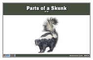 Parts of a Skunk Three Part Cards (3-6)