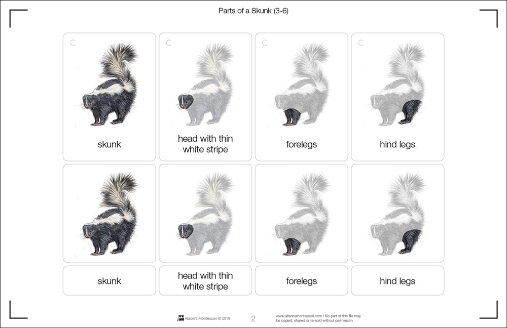 Parts of a Skunk Three Part Cards (3-6)