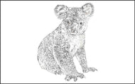Parts of a Koala Three Part Cards (3-6)