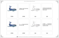 Parts of a Whale (6-9)