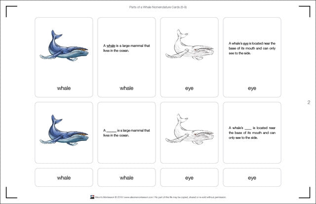 Parts of a Whale (6-9)