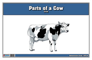 Parts of a Cow Nomenclature Cards (3-6)