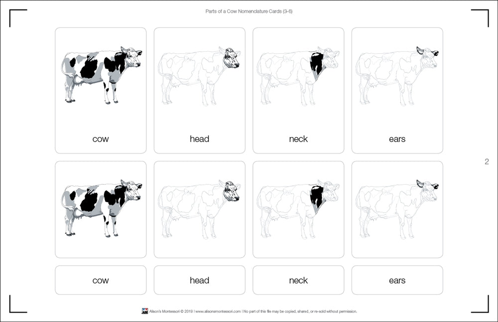 Parts of a Cow Nomenclature Cards (3-6)