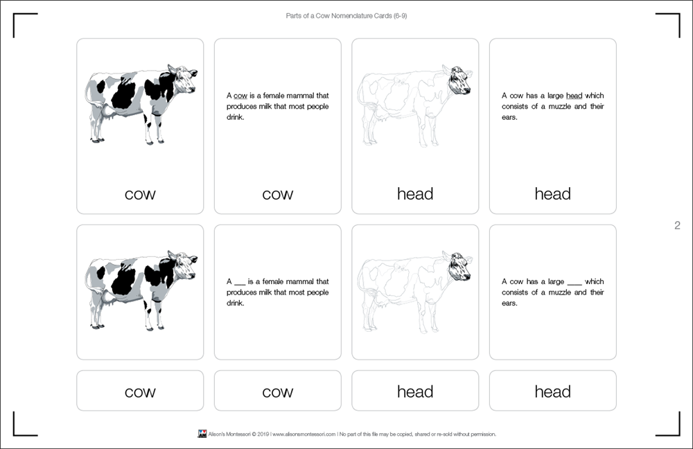 Parts of a Cow Nomenclature Cards (6-9)