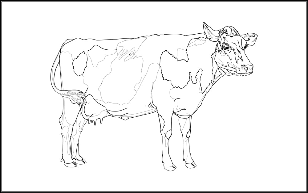 Parts of a Cow Nomenclature Cards (6-9)