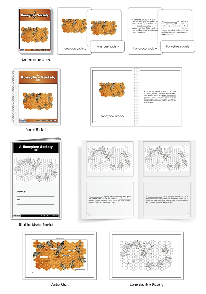 A Honeybee Society Nomenclature Cards (6-9) (Printed)