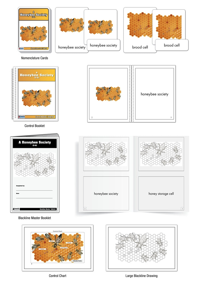 A Honeybee Society Puzzle with Nomenclature Cards (3-6) (Printed)