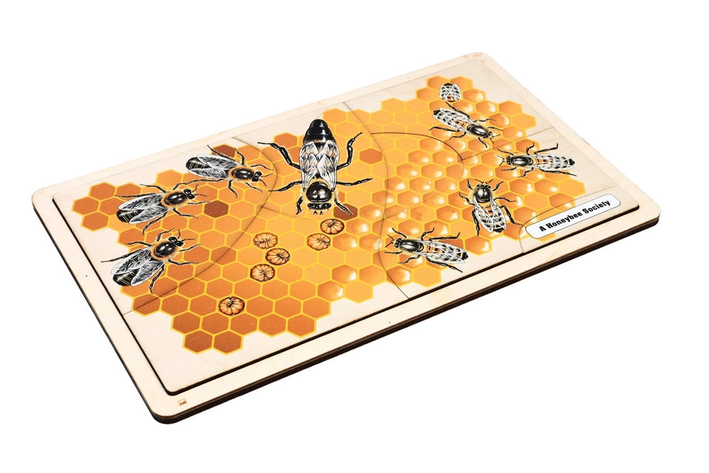 A Honeybee Society Puzzle with Nomenclature Cards (6-9) (Printed)
