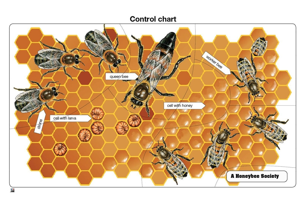 A Honeybee Society Puzzle