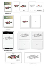 Internal Parts of a Bony Fish Nomenclature Cards (3-6) (Printed)