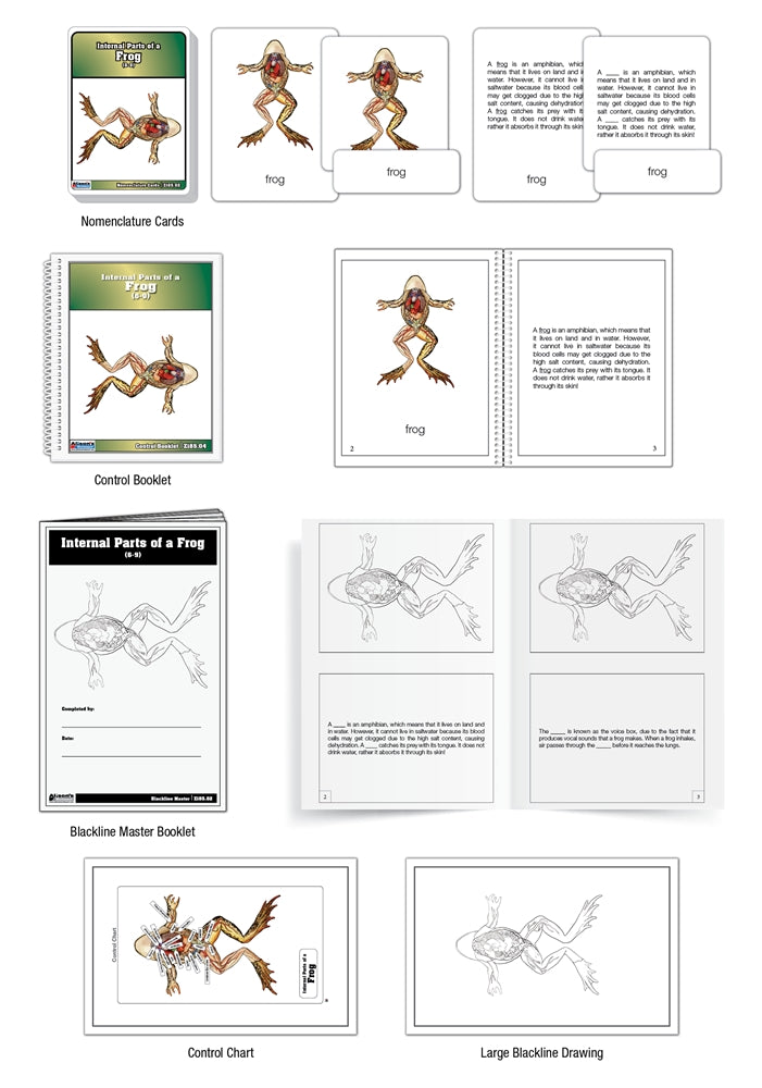 Internal Parts of a Frog Nomenclature Cards (6-9) (Printed)