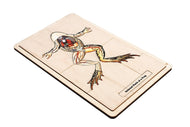 Internal Parts of a Frog Puzzle