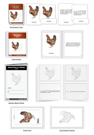 Internal Parts of a Chicken Nomenclature Cards (6-9) (Printed)