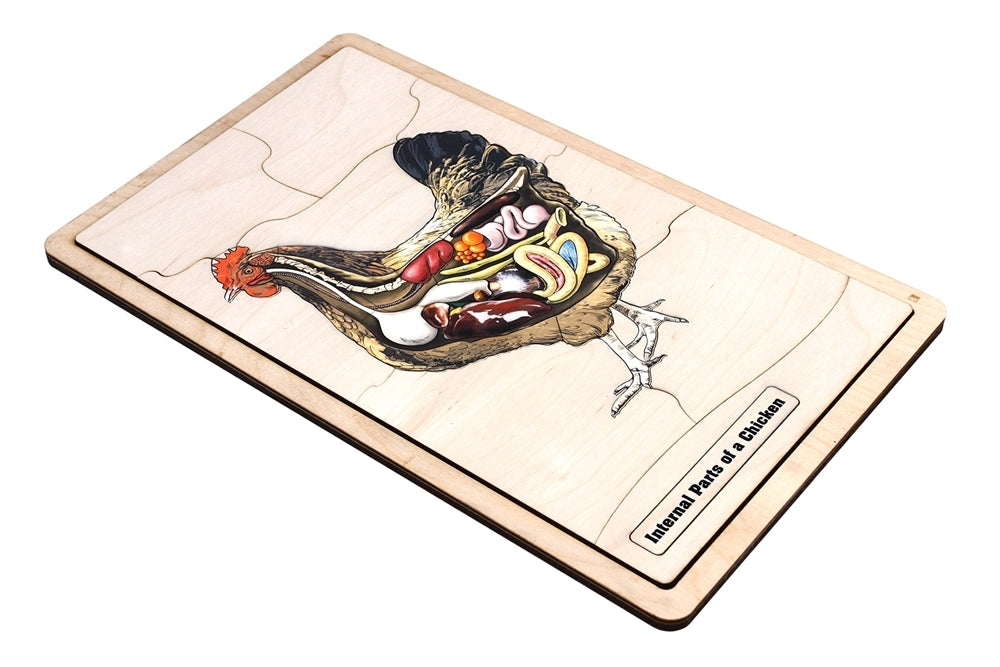 Internal Parts of a Chicken Puzzle with Nomenclature Cards (3-6) (Printed)