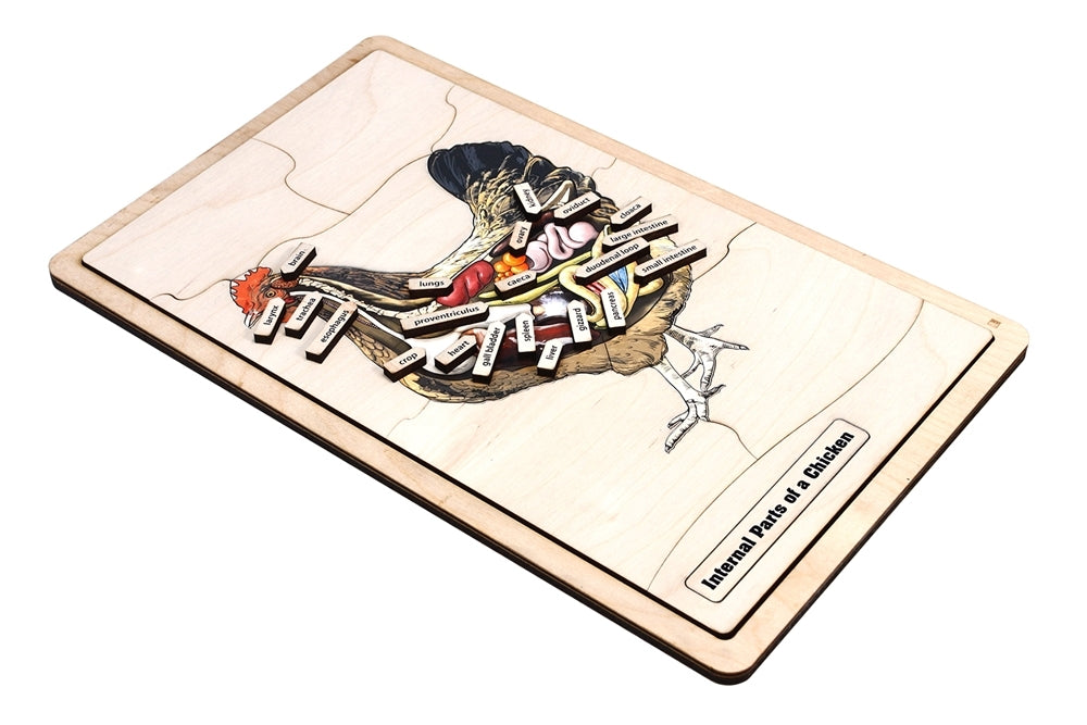 Internal Parts of a Chicken Puzzle with Nomenclature Cards (6-9) (Printed)