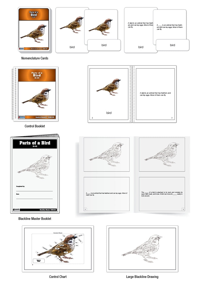 Parts of a Bird Puzzle with Nomenclature Cards (6-9)