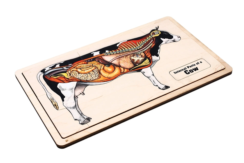 Internal Parts of a Cow Puzzle with Nomenclature Cards (3-6) (Printed)